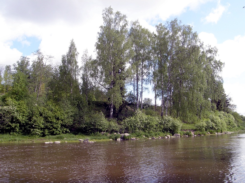 Ranta