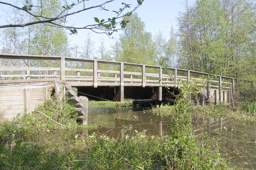 Silta