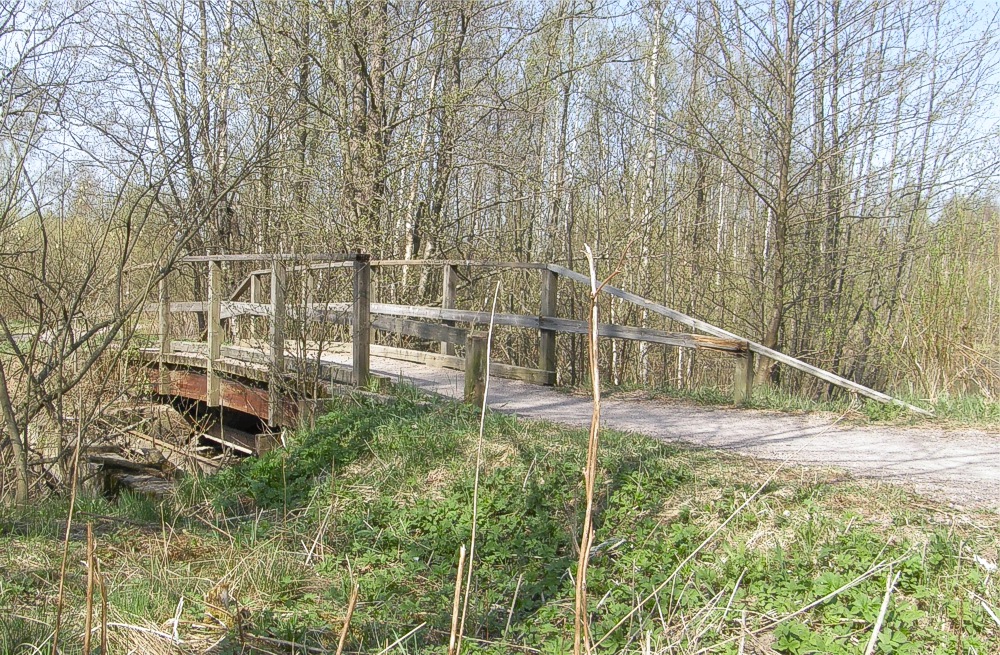 Silta