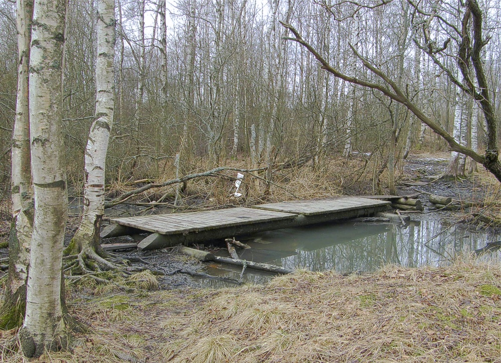 Silta