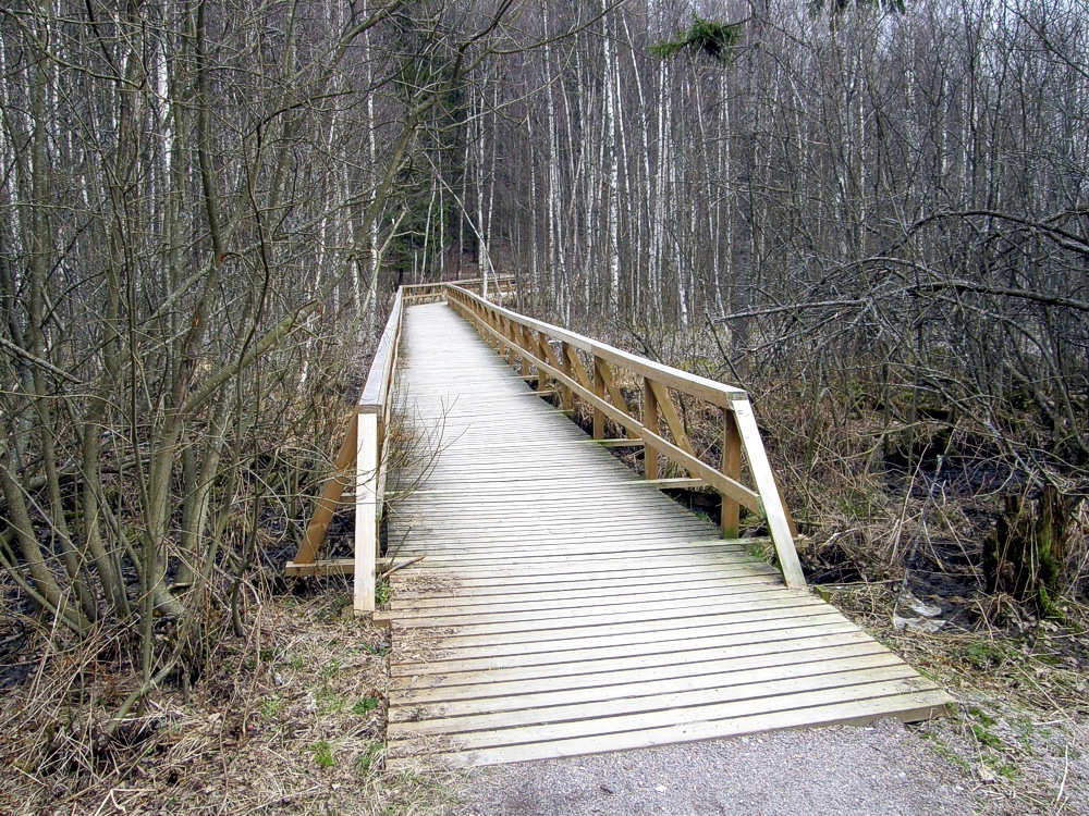 Silta