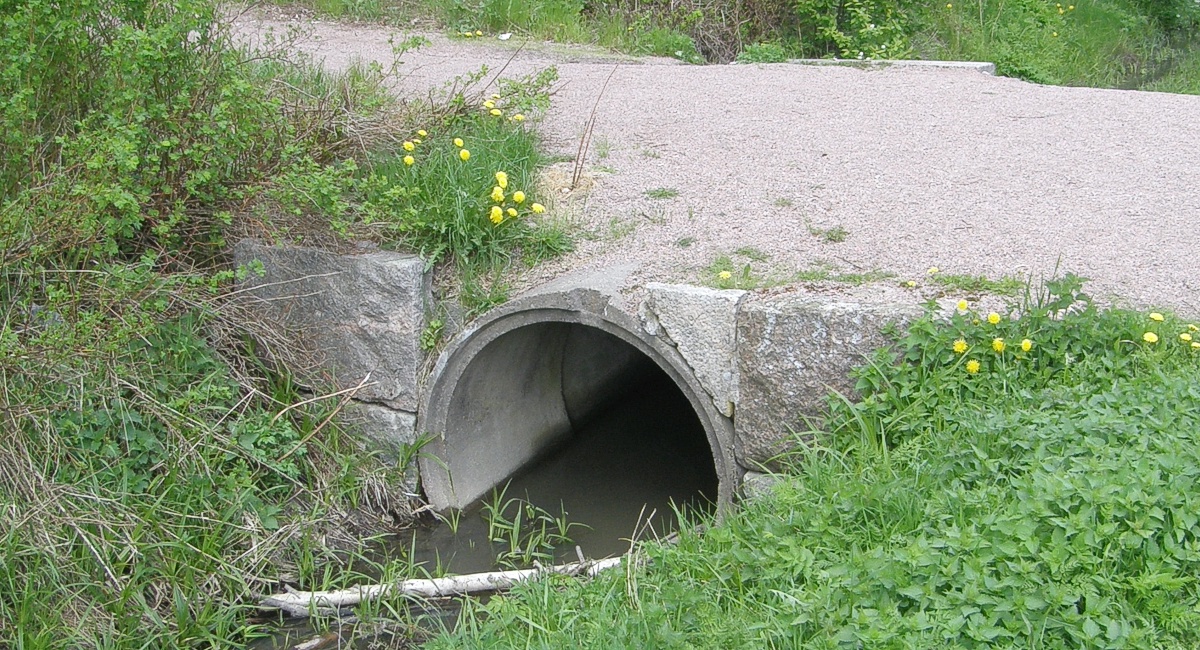 Silta