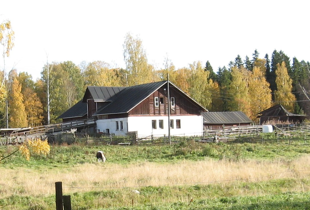 skata