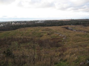 vuosaarit�ytt�m�ki